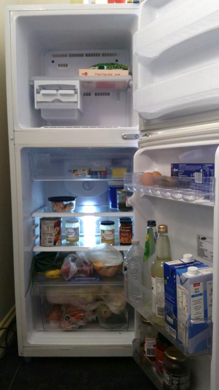 A fridge. With a freezer that freezes. And room for food.