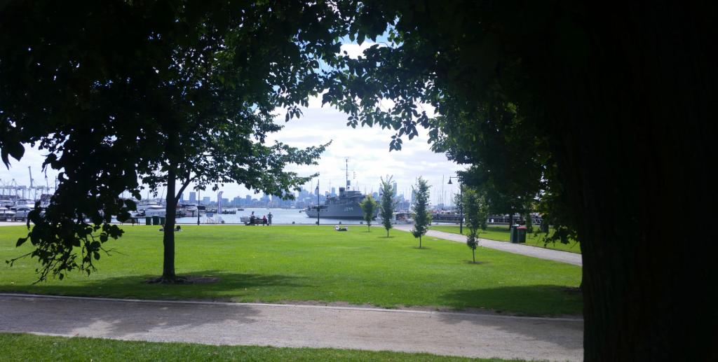 The view, from the shade of a tree canopy across a park to a marina and city beyond.