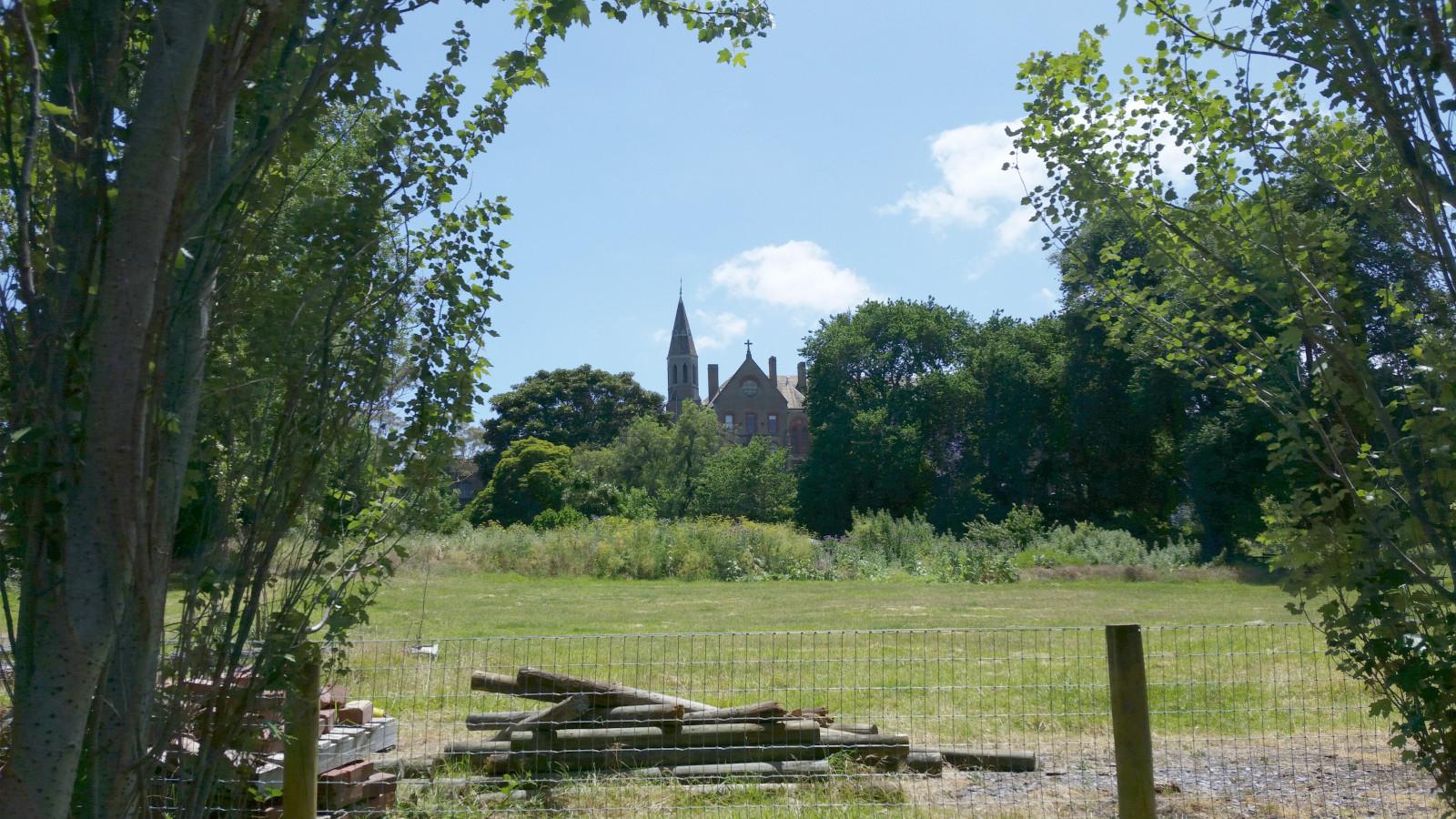 A rather unkempt field in the grounds of Abbotsford Convent. In the foreground are a pile of old fenceposts and a pallet of bricks. Further away, the field is overgrown with weeds/wildflowers, behind that is a row of trees, behind which a portion of the convent building is visible.