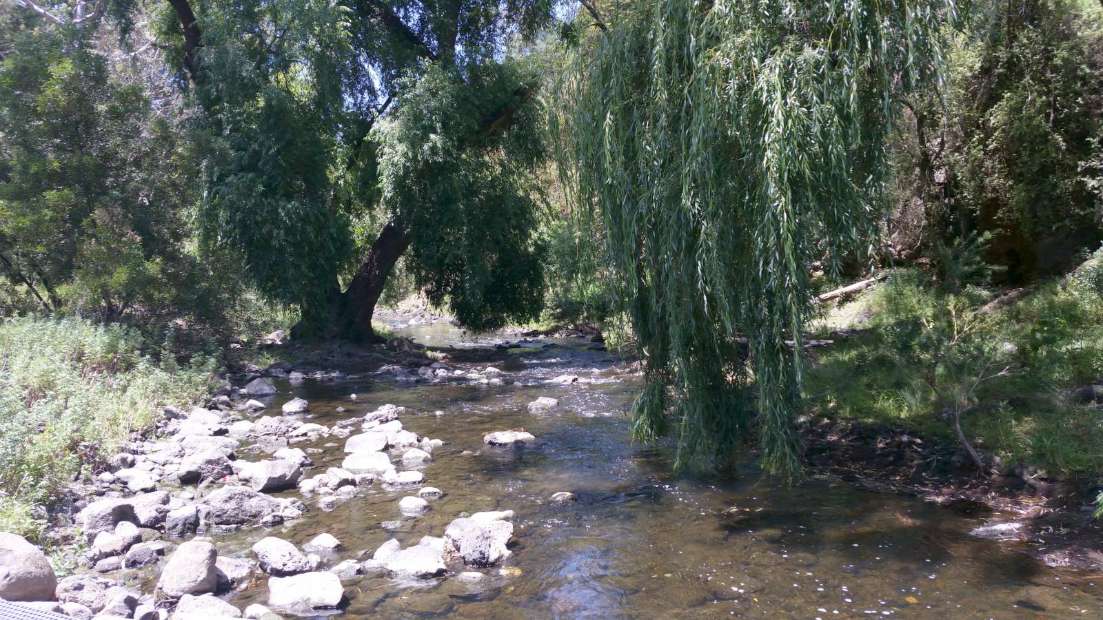 Looking downstream from a low footbridge over a narrow creek.